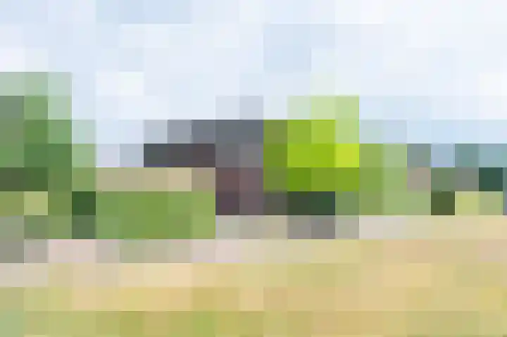 Laan van het Kwekebos 392 Emmen thumbnail 39