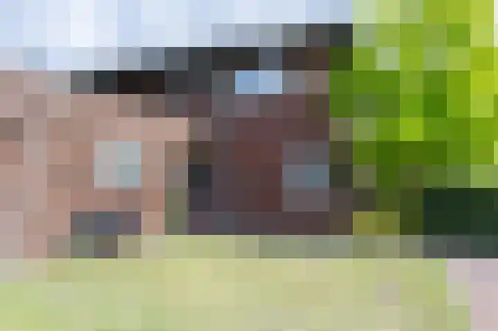 Laan van het Kwekebos 392 Emmen thumbnail 4