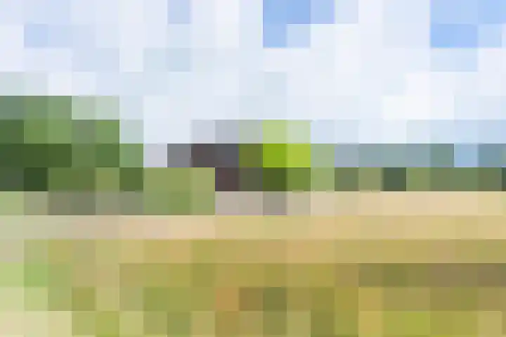 Laan van het Kwekebos 392 Emmen thumbnail 40