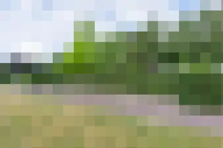 Laan van het Kwekebos 392 Emmen thumbnail 41
