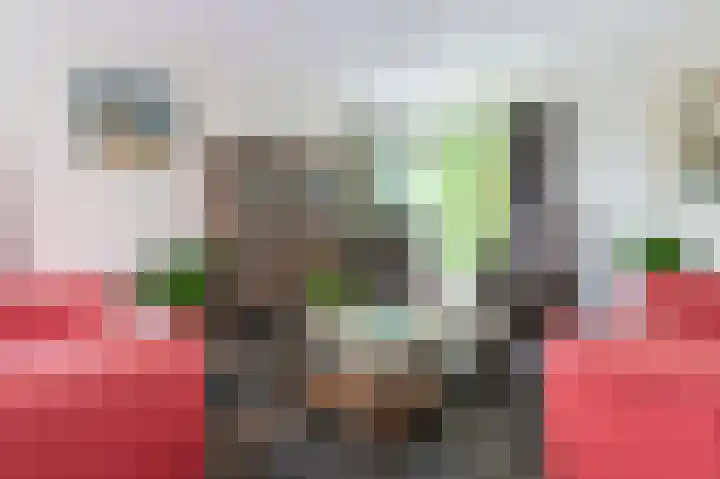 Laan van het Kwekebos 392 Emmen thumbnail 5