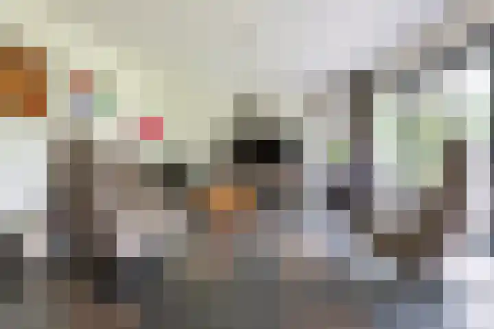 Laan van het Kwekebos 392 Emmen thumbnail 8