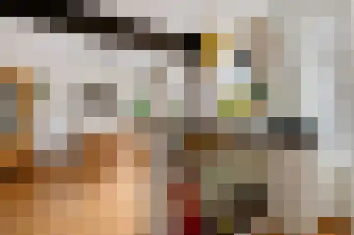Laan van het Kwekebos 429 Emmen thumbnail 11