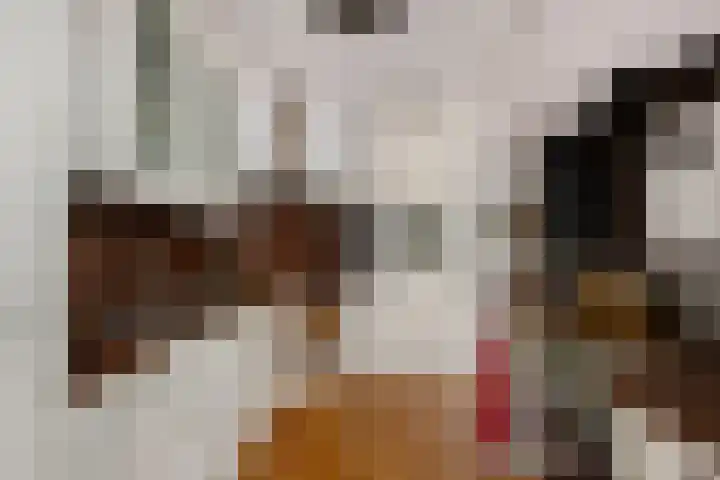 Laan van het Kwekebos 429 Emmen thumbnail 12