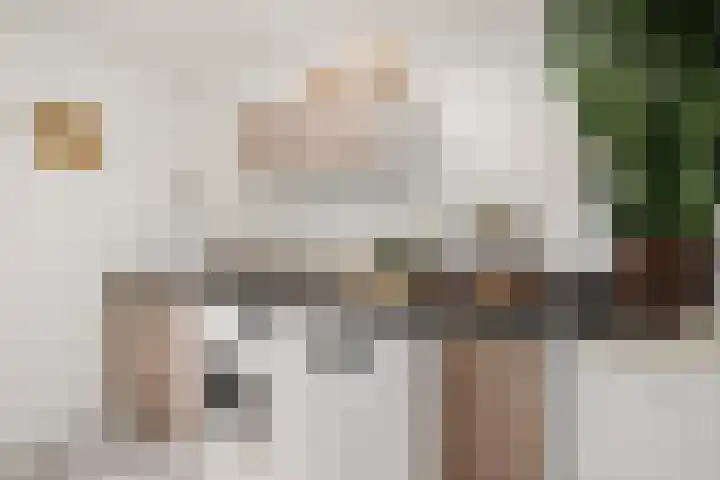 Laan van het Kwekebos 429 Emmen thumbnail 14