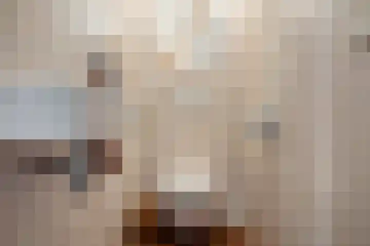 Laan van het Kwekebos 429 Emmen thumbnail 17