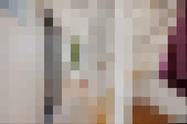 Laan van het Kwekebos 429 Emmen thumbnail 18