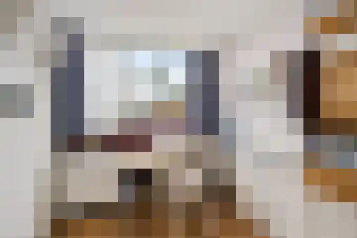Laan van het Kwekebos 429 Emmen thumbnail 19