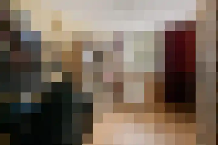 Laan van het Kwekebos 429 Emmen thumbnail 20