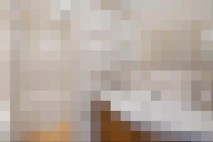 Laan van het Kwekebos 429 Emmen thumbnail 27