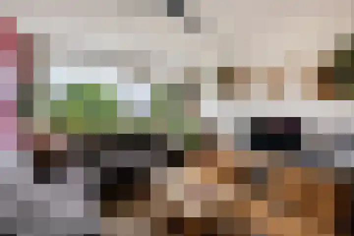 Laan van het Kwekebos 429 Emmen foto 3