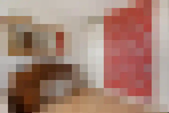 Laan van het Kwekebos 429 Emmen thumbnail 31