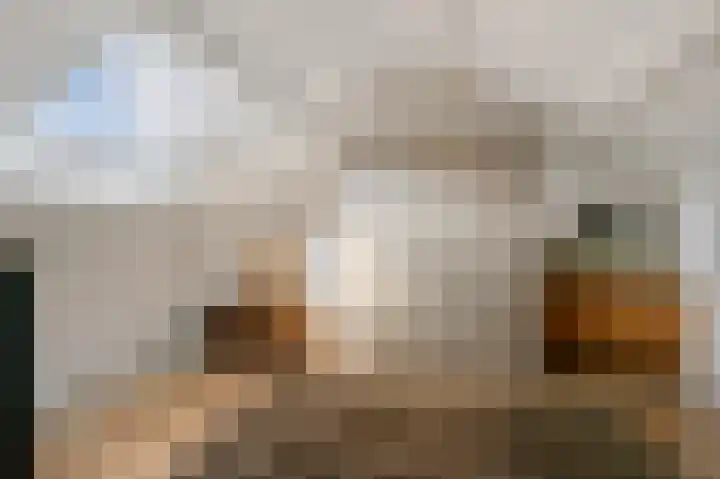 Laan van het Kwekebos 429 Emmen thumbnail 34