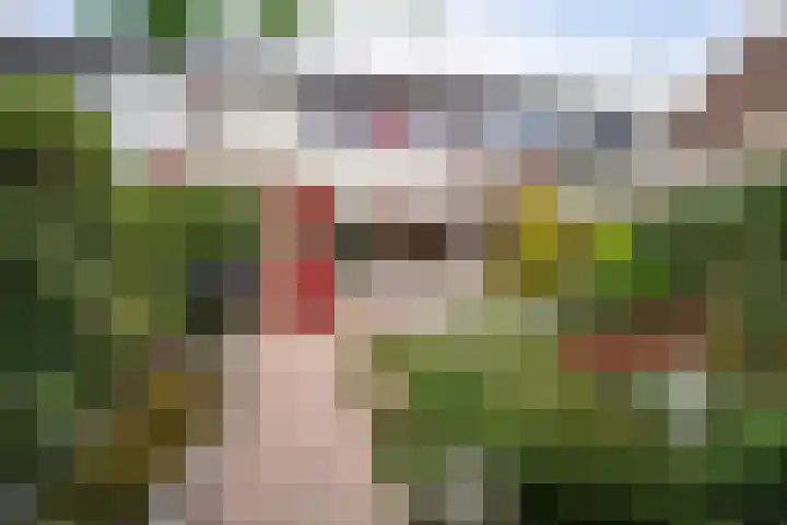 Laan van het Kwekebos 429 Emmen thumbnail 35
