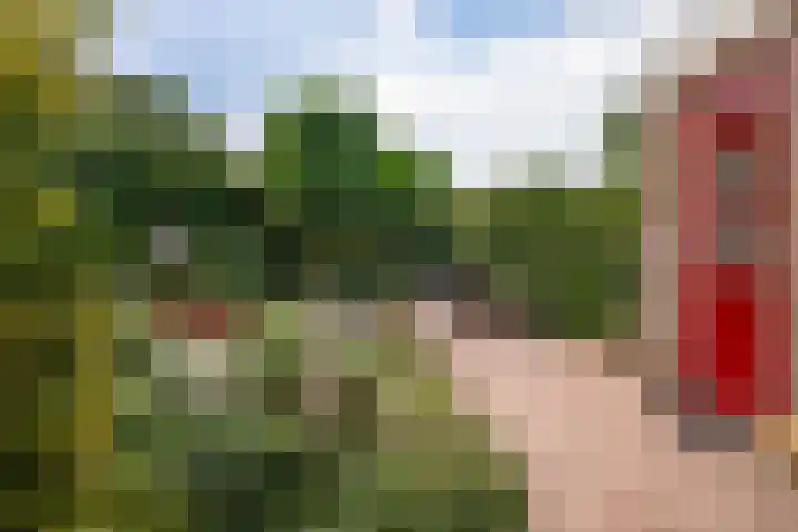 Laan van het Kwekebos 429 Emmen thumbnail 37