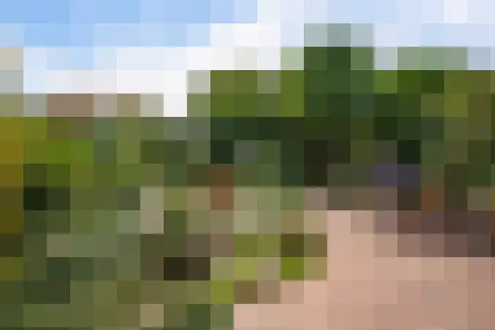 Laan van het Kwekebos 429 Emmen thumbnail 38