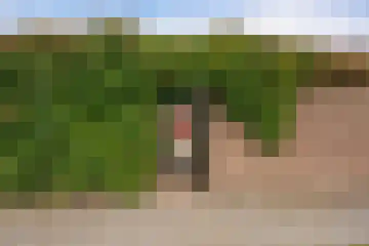 Laan van het Kwekebos 429 Emmen thumbnail 39