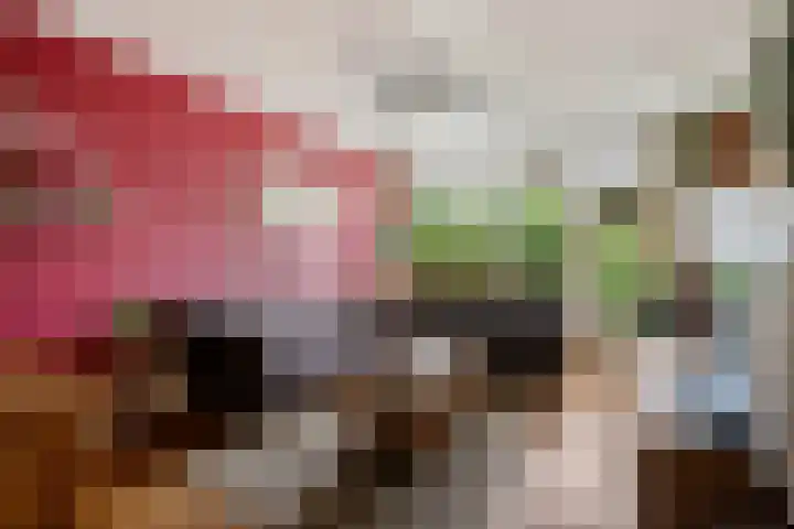 Laan van het Kwekebos 429 Emmen thumbnail 4