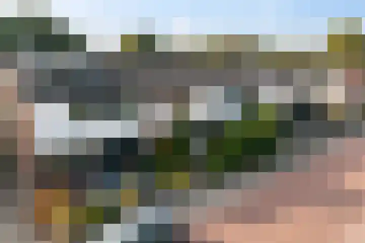 Laan van het Kwekebos 429 Emmen thumbnail 43