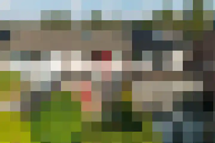 Laan van het Kwekebos 429 Emmen thumbnail 44