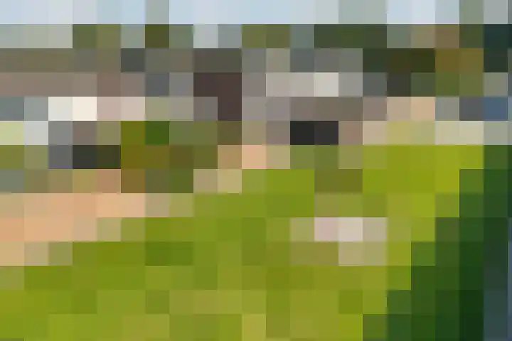 Laan van het Kwekebos 429 Emmen thumbnail 45