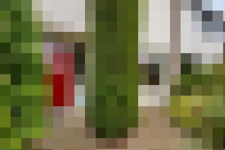 Laan van het Kwekebos 429 Emmen thumbnail 49