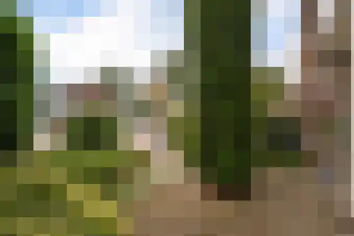 Laan van het Kwekebos 429 Emmen thumbnail 50