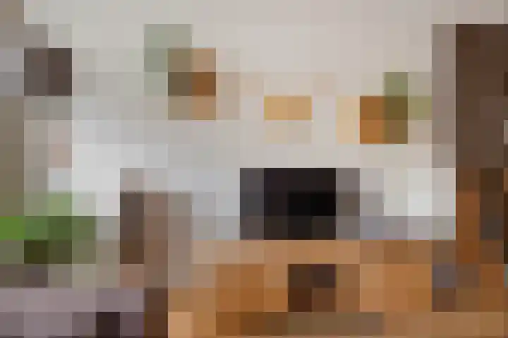 Laan van het Kwekebos 429 Emmen thumbnail 6