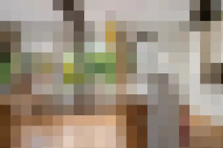 Laan van het Kwekebos 429 Emmen thumbnail 7