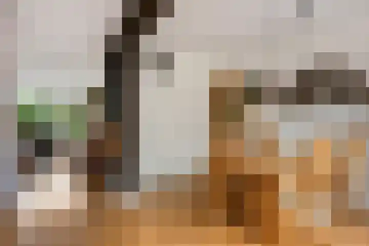 Laan van het Kwekebos 429 Emmen thumbnail 9