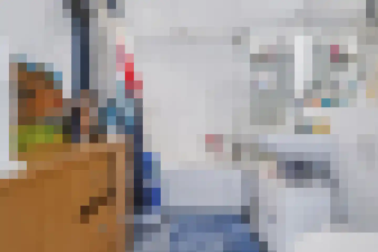 Laan van het Kwekebos 451 Emmen thumbnail 20