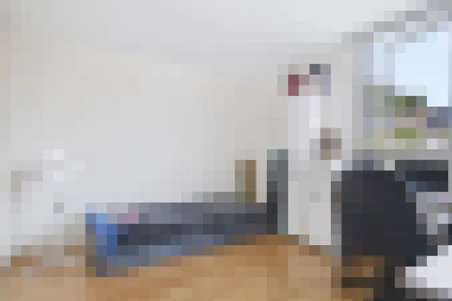 Laan van het Kwekebos 451 Emmen thumbnail 22