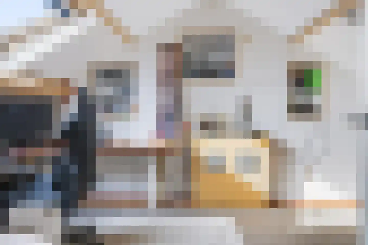 Laan van het Kwekebos 451 Emmen thumbnail 24