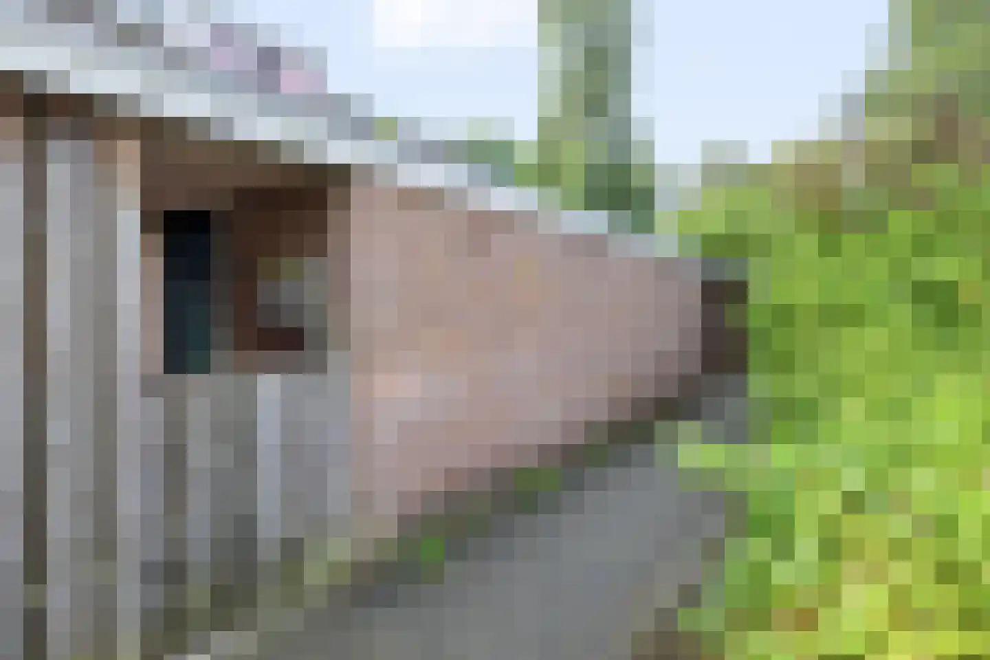 Laan van het Kwekebos 451 Emmen thumbnail 28