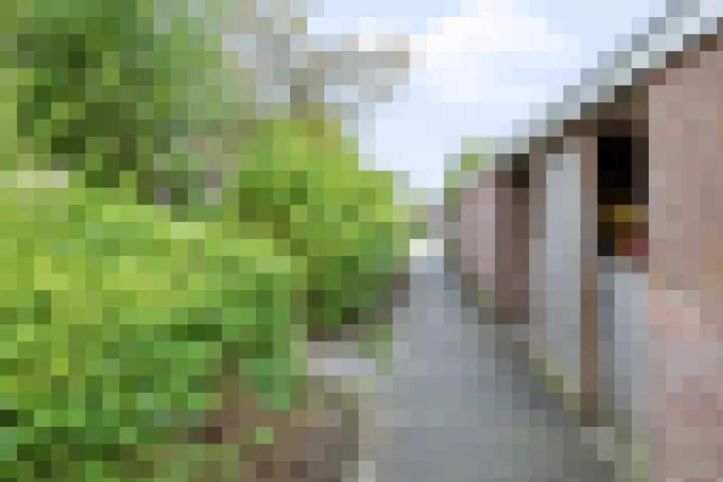Laan van het Kwekebos 451 Emmen thumbnail 29