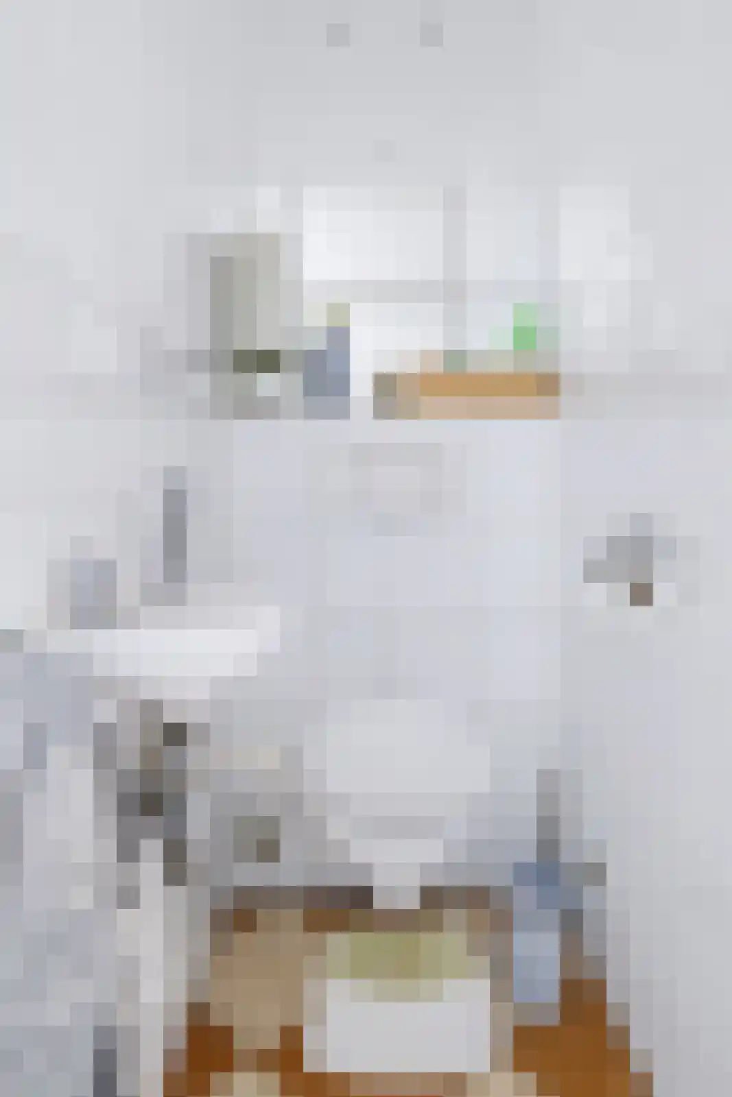 Laan van het Kwekebos 451 Emmen thumbnail 8