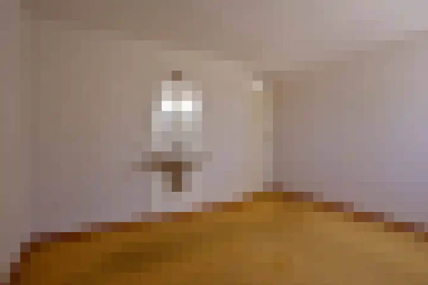 Laan van het Kwekebos 459 Emmen thumbnail 13