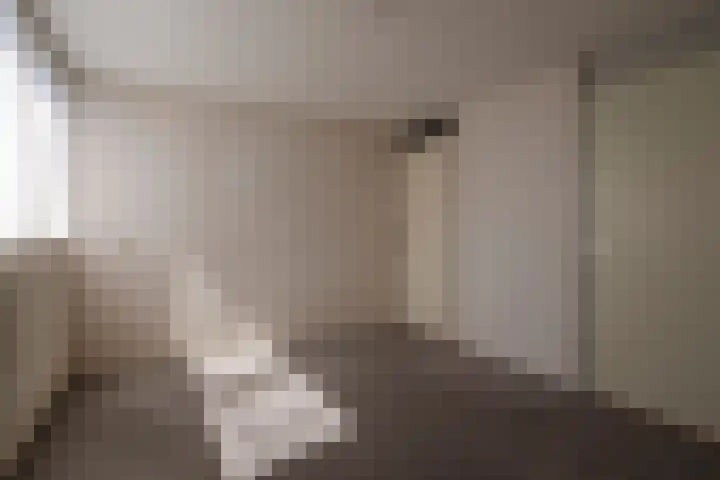 Laan van het Kwekebos 459 Emmen thumbnail 20
