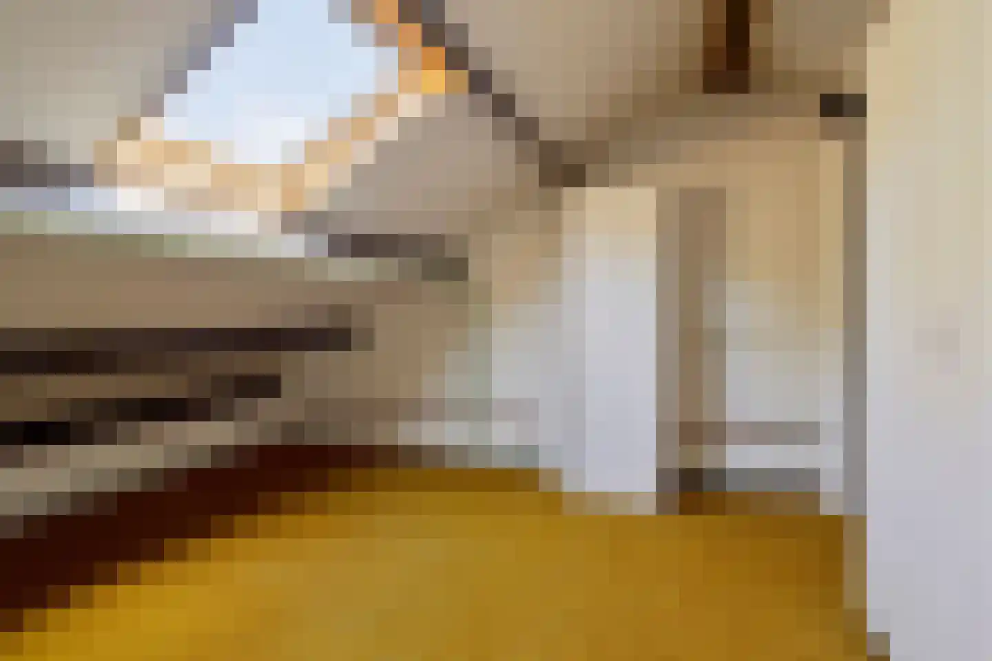 Laan van het Kwekebos 459 Emmen thumbnail 21
