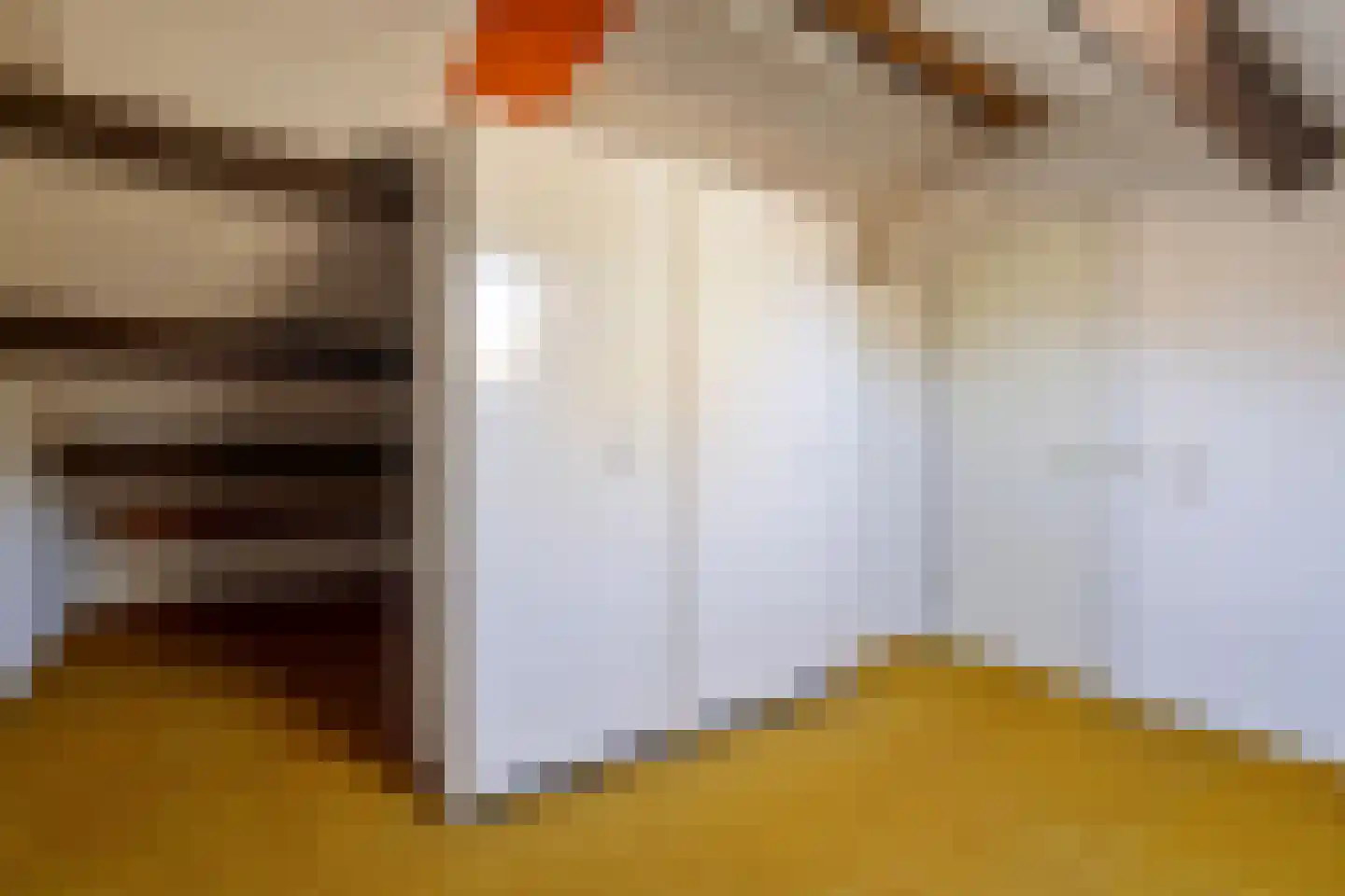 Laan van het Kwekebos 459 Emmen thumbnail 22