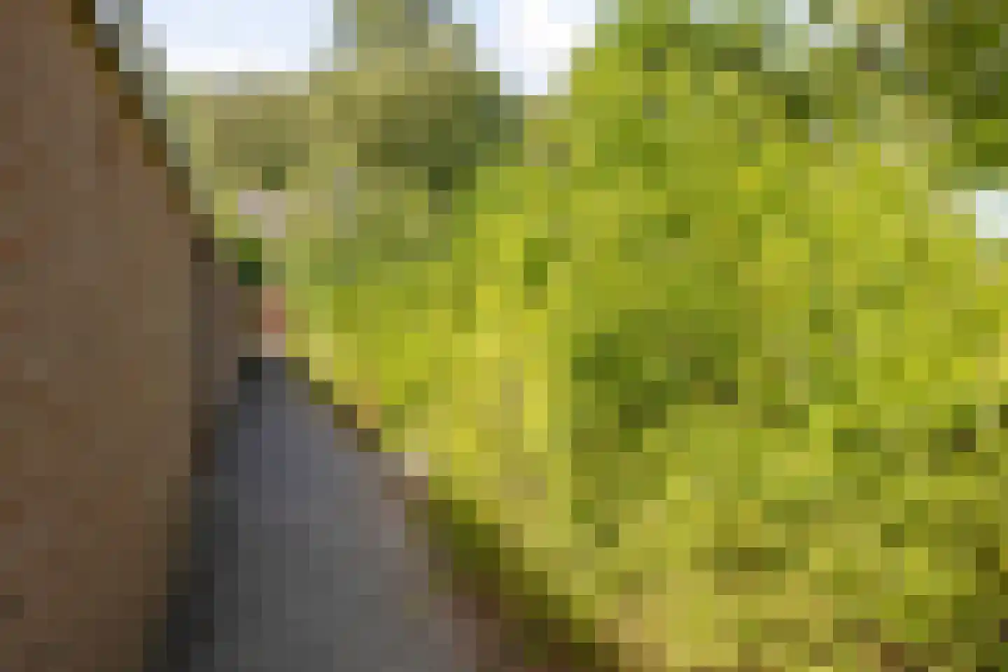 Laan van het Kwekebos 459 Emmen thumbnail 28