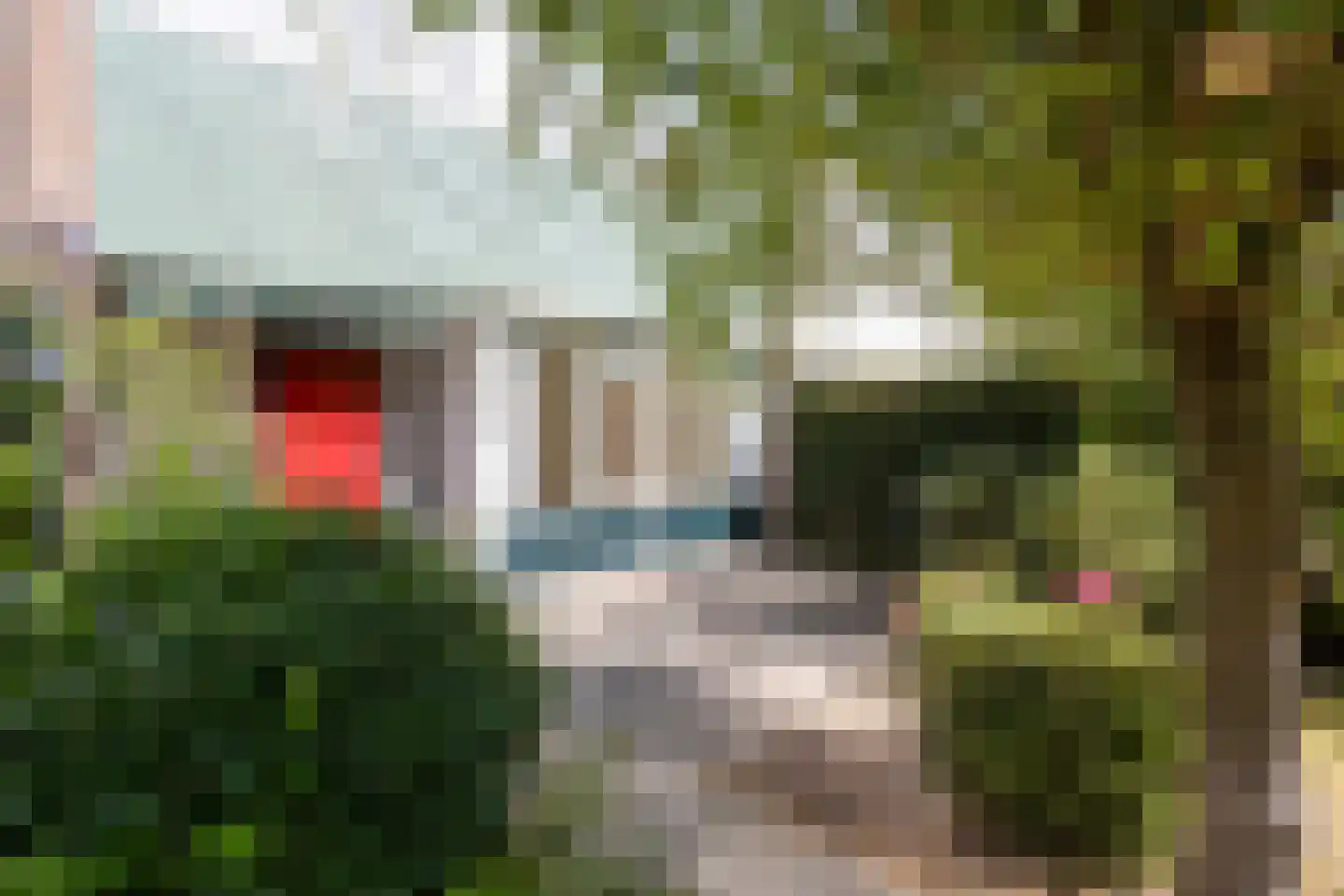 Laan van het Kwekebos 459 Emmen thumbnail 29