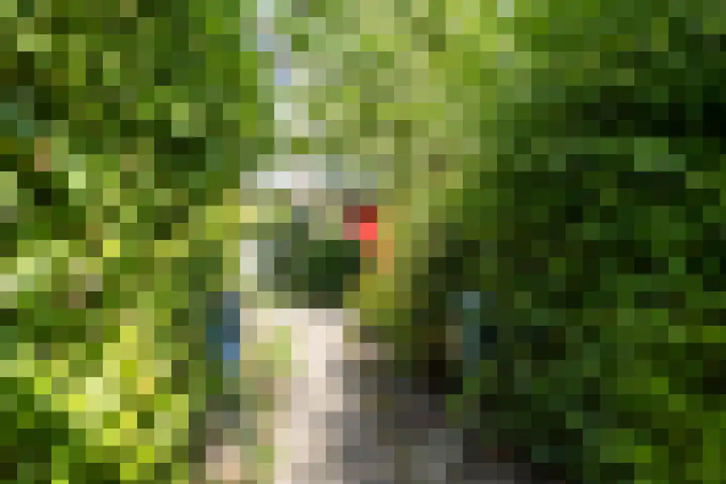 Laan van het Kwekebos 459 Emmen thumbnail 30