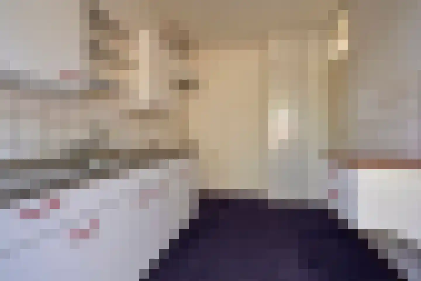 Laan van het Kwekebos 459 Emmen thumbnail 9