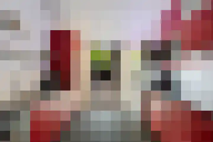 Laan van het Kwekebos 75 Emmen thumbnail 13