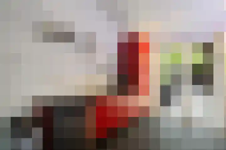 Laan van het Kwekebos 75 Emmen thumbnail 14
