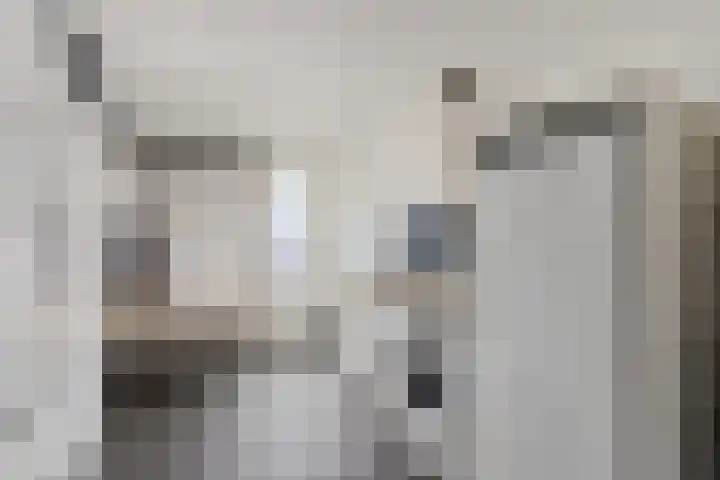 Laan van het Kwekebos 75 Emmen thumbnail 16