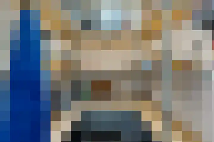 Laan van het Kwekebos 75 Emmen thumbnail 18