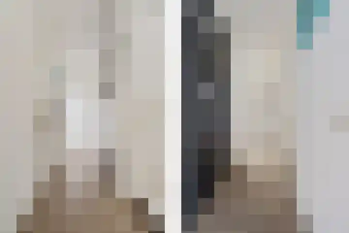 Laan van het Kwekebos 75 Emmen thumbnail 20