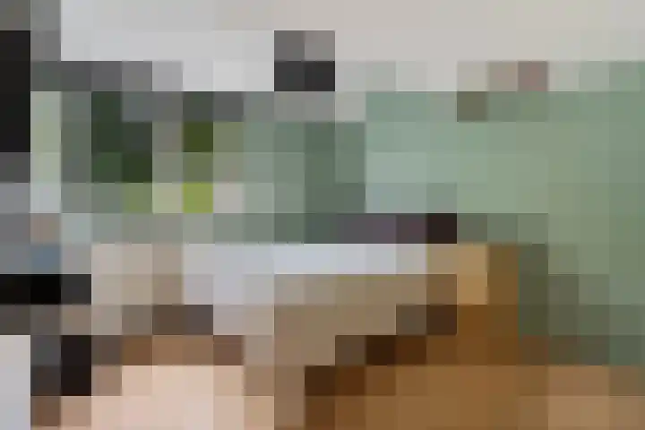 Laan van het Kwekebos 75 Emmen thumbnail 21